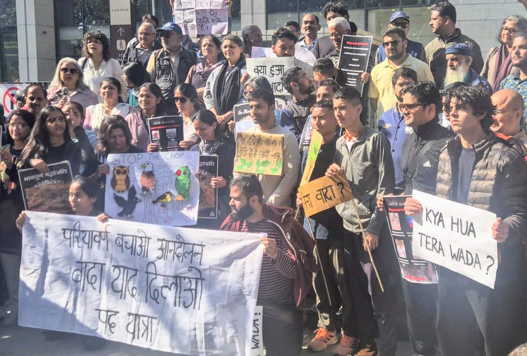 देहरादून कैंट में पेड़ कटान के विरोध में 9 मार्च से चिपको आंदोलन: शहरी संगठनों का ऐलान